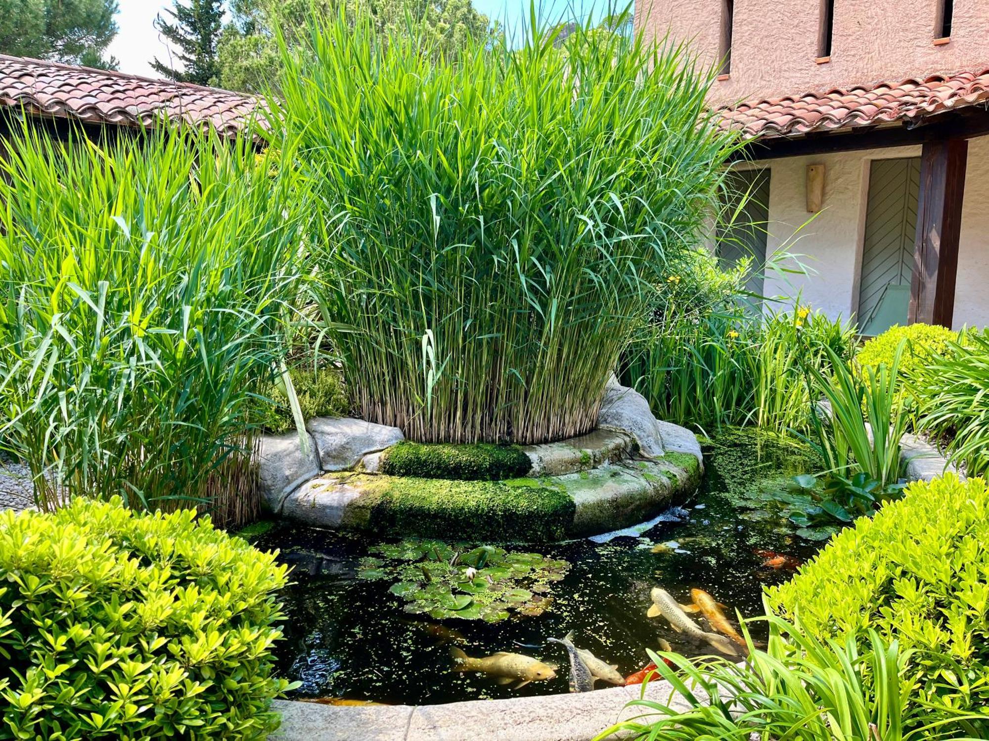 Auberge Val Moureze Hotel & Spa Kültér fotó